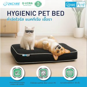 QARE-PETS เบาะรองนอนสัตว์เลี้ยง