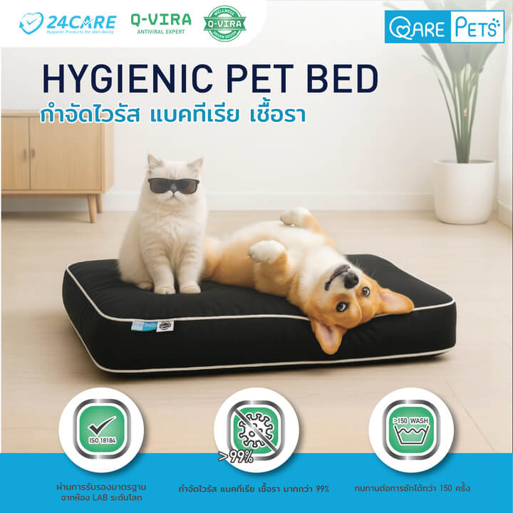 QARE-PETS เบาะรองนอนสัตว์เลี้ยง